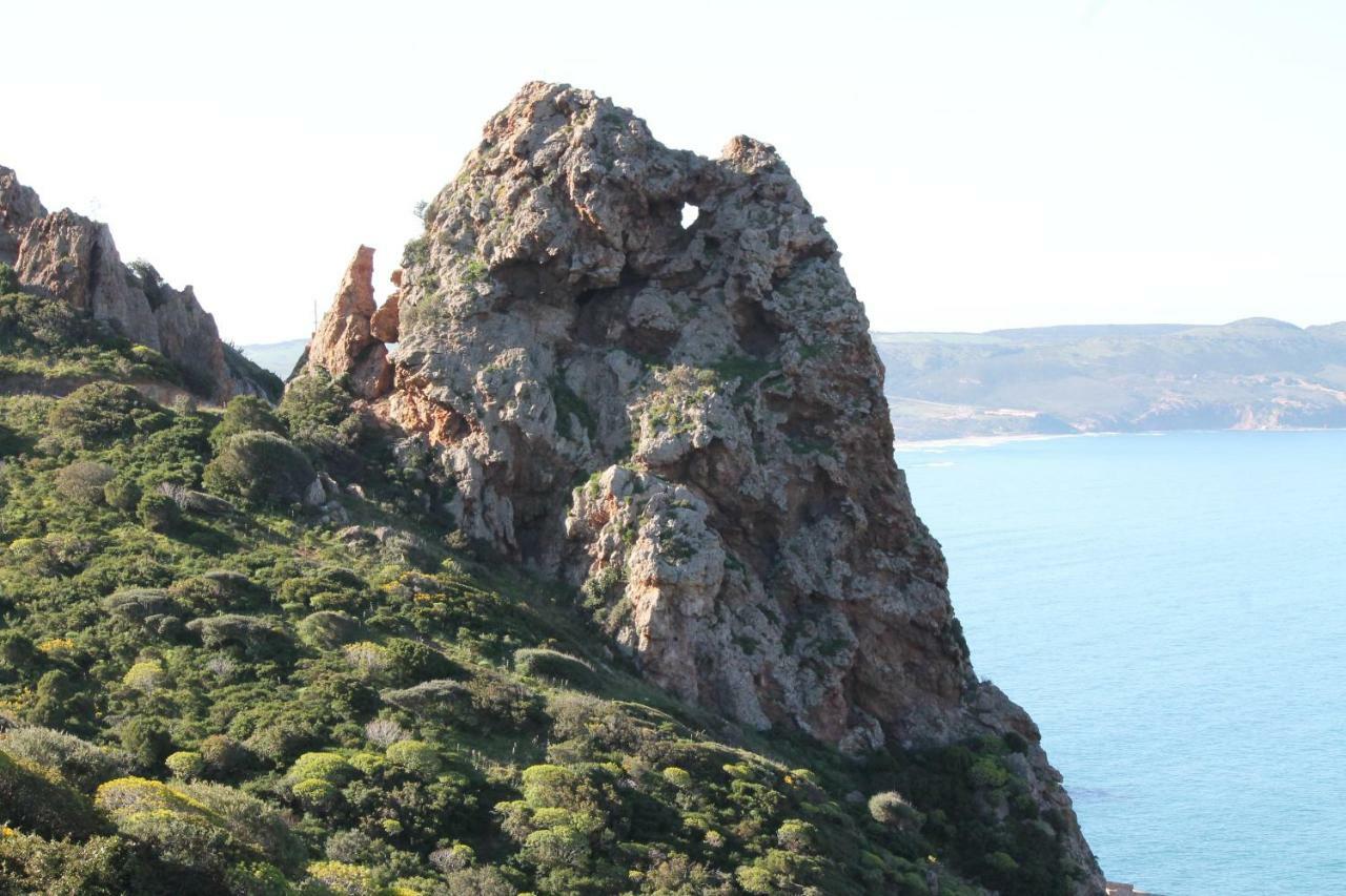 Villa Le Conchiglie Nebida Dış mekan fotoğraf