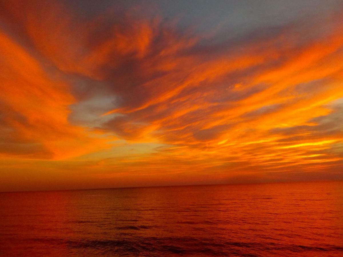 Villa Le Conchiglie Nebida Dış mekan fotoğraf