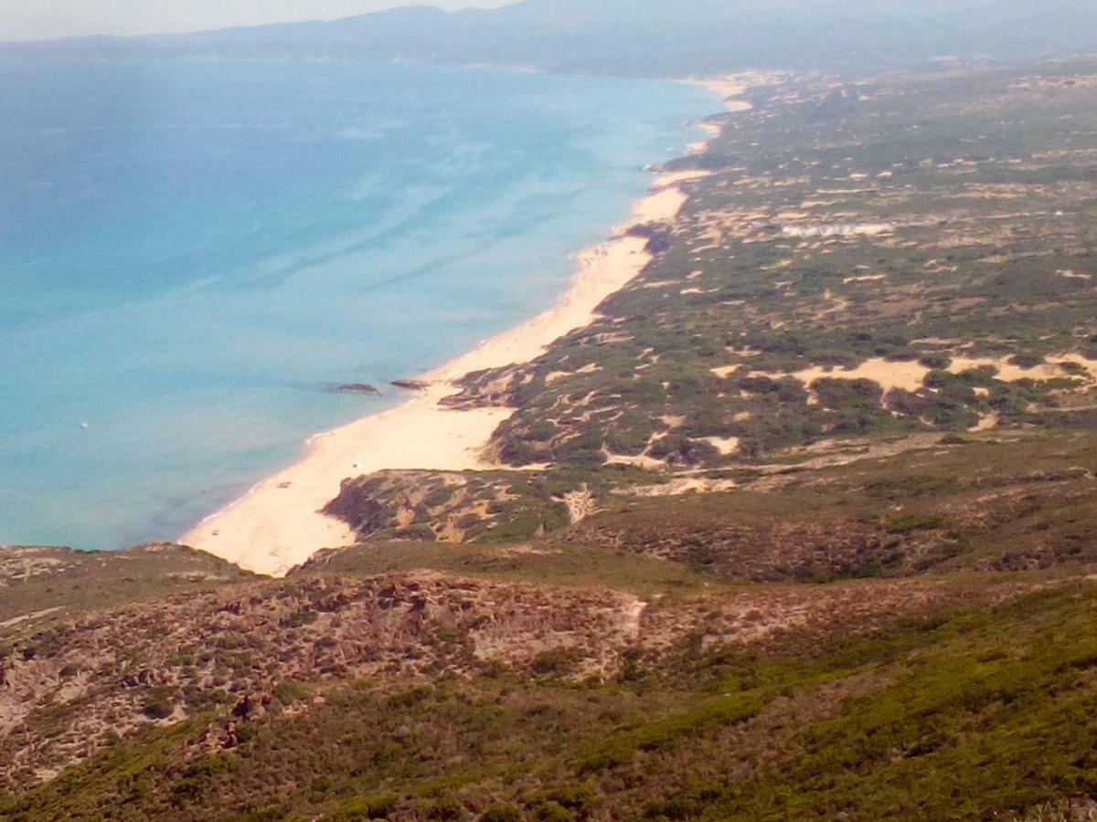 Villa Le Conchiglie Nebida Dış mekan fotoğraf