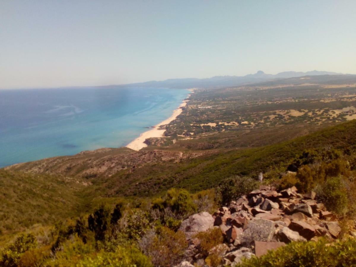 Villa Le Conchiglie Nebida Dış mekan fotoğraf